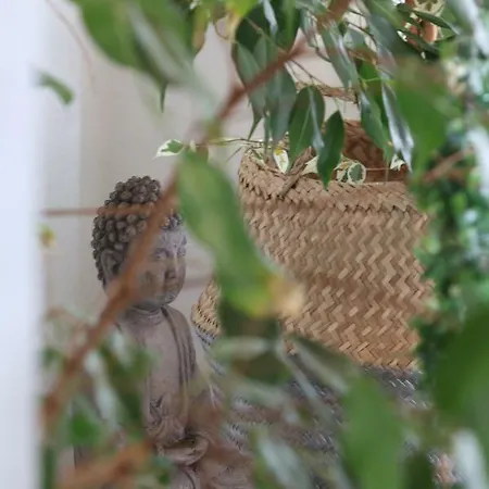 Gaestewohnung In Apartman