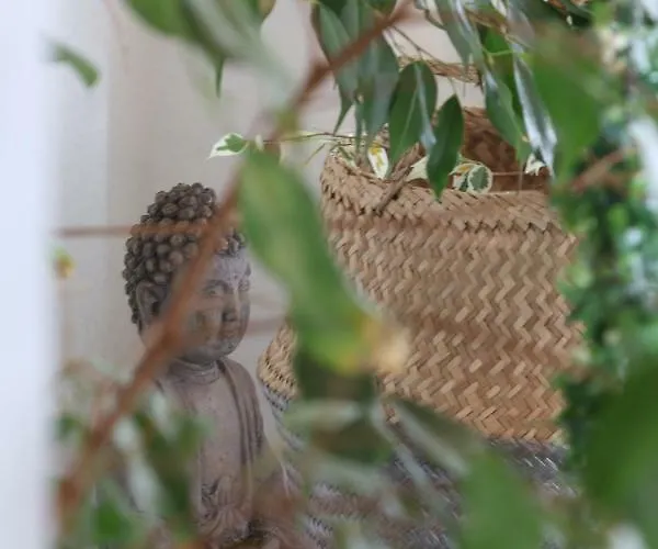 Gaestewohnung In Apartmán